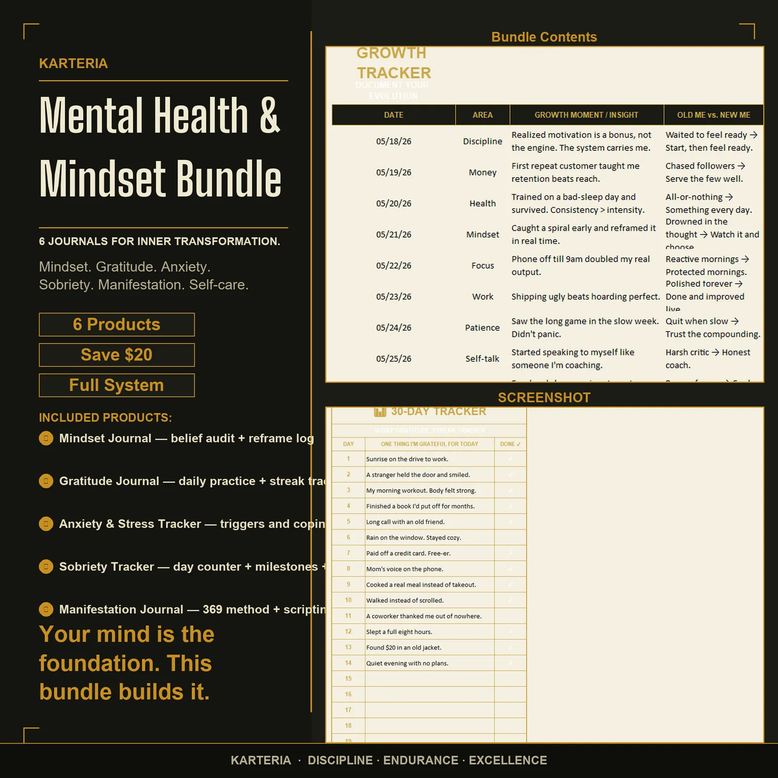 Mental Health & Mindset Bundle