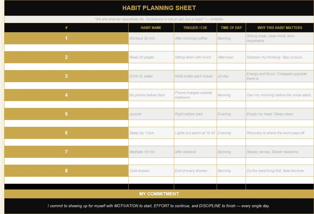 Habit Tracker System preview