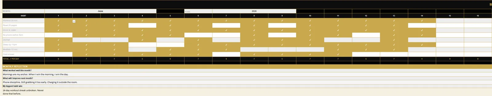 Habit Tracker System preview