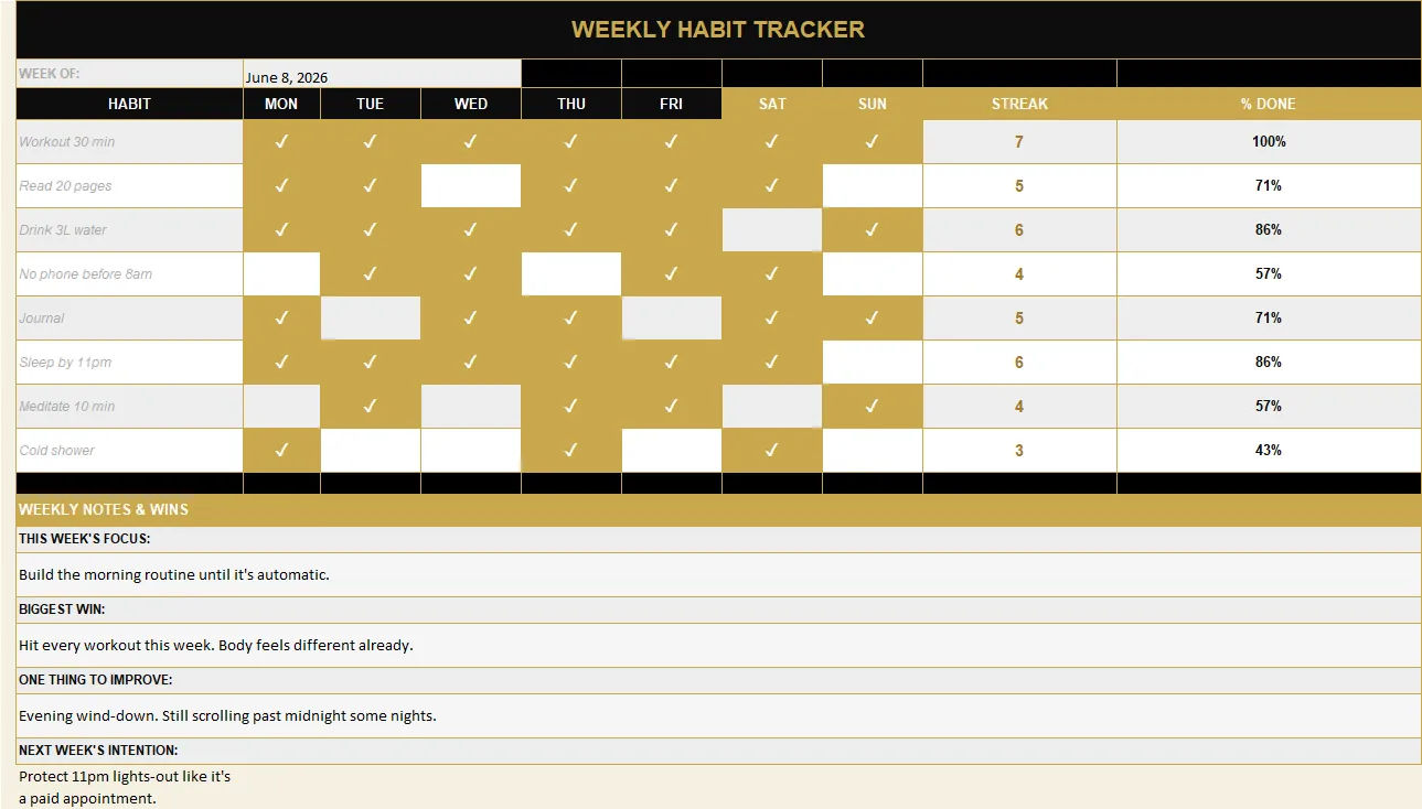 Habit Tracker System preview