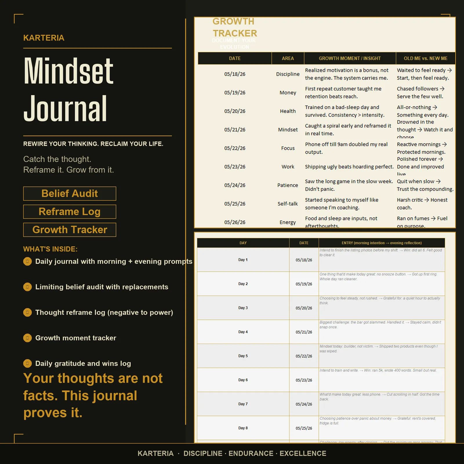 Mindset Journal