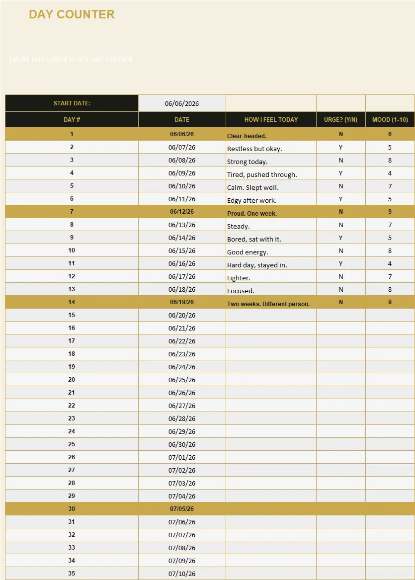 Sobriety & Recovery Tracker preview