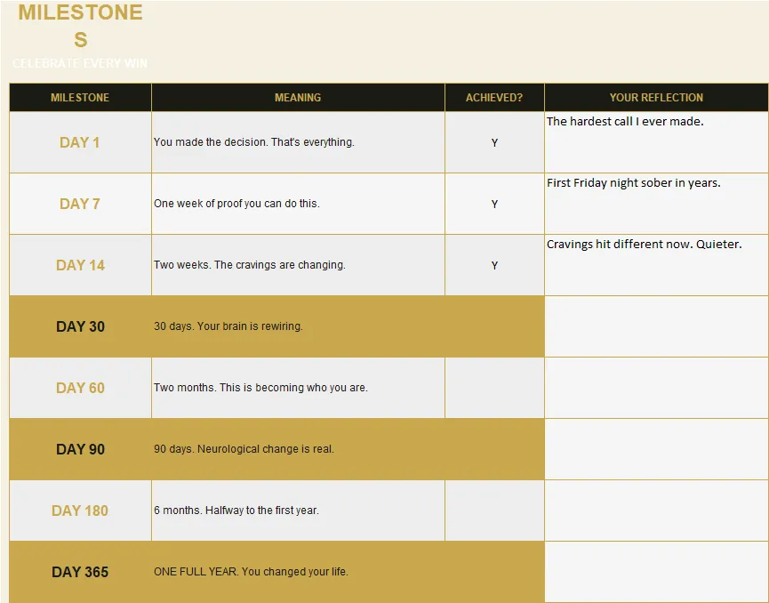 Sobriety & Recovery Tracker preview