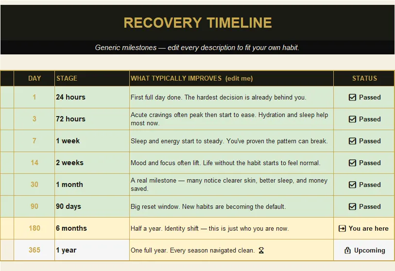 Sobriety & Recovery Tracker preview