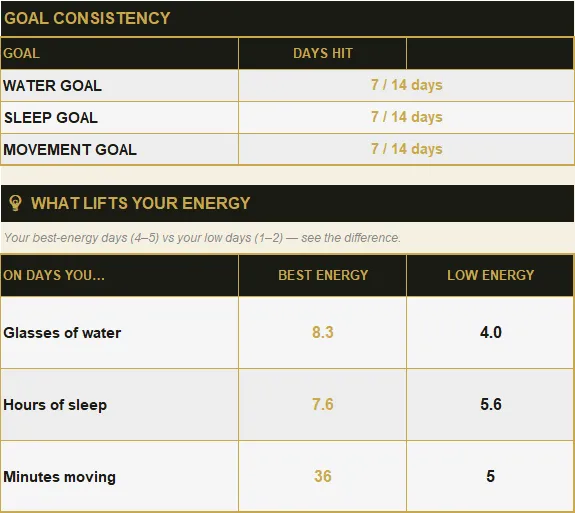 Daily Wellness Tracker preview